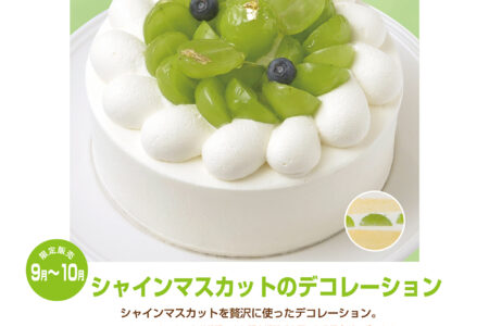 【カタログ・チラシ】季節限定デコレーションケーキ